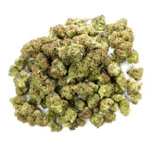 Indoor Micros