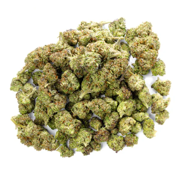 Indoor Micros